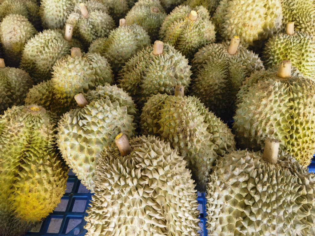 เลือกทุเรียน